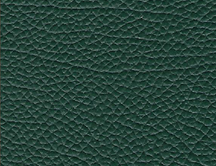 Soft Skin Leather - Green