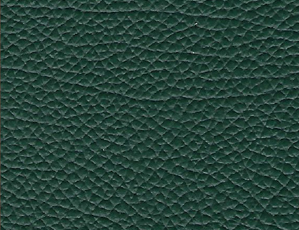 Soft Skin Leather - Green